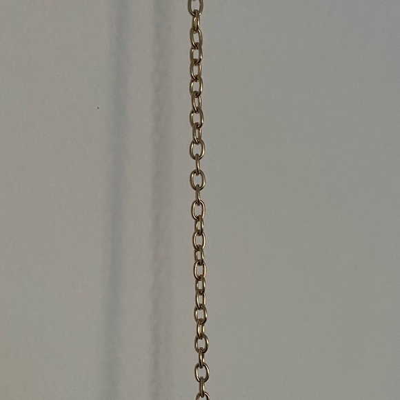 Champagne Gold Crossbody/Clutch - Picture 5 of 10